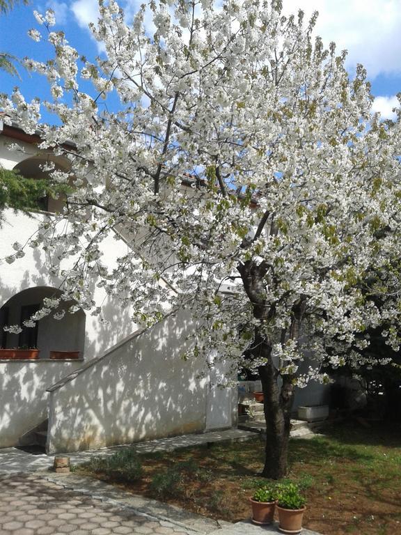 Apartments Porec Istria By Nina Exterior foto